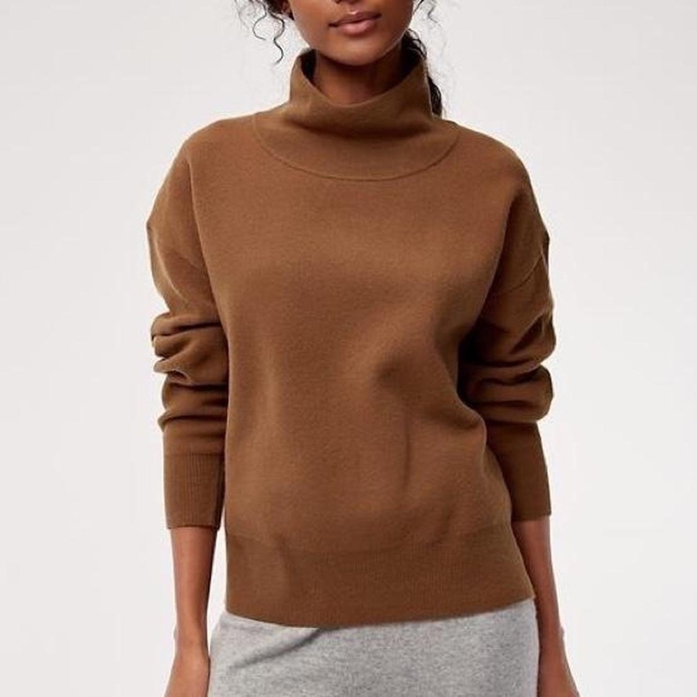 Brown Mock Turtleneck